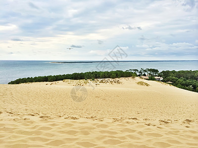 从法国皮拉特的Dune 查看图片