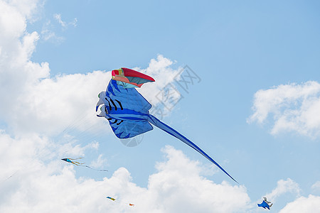 在蓝天空中飞来飘去的风筝 爱好 飞碟 黄貂鱼 放风筝图片