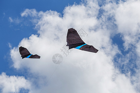 风筝在蓝色的天空中飞来飞去 有各种形状的 鲨鱼 闲暇图片