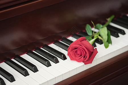红玫瑰插在钢琴键盘上 浪漫的概念图片