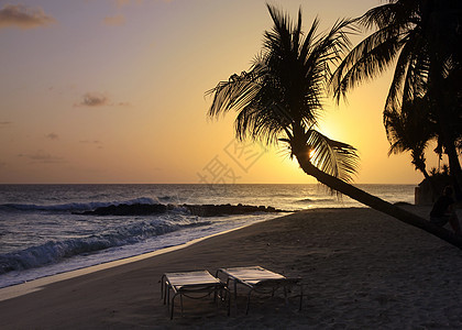 热带热带海滩 海岸 享受 太阳 晒黑 海岸线 加勒比 巴巴多斯图片