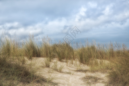 卡拉梅斯基达的Dunes 马洛卡和蓝天 风景图片