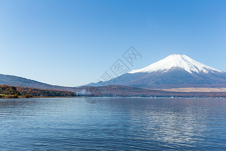 日本藤山图片