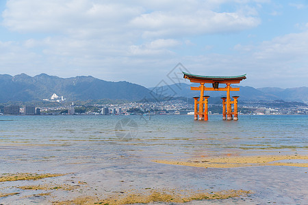 日本的国岛神社 宫岛 牌坊 游客 橙子 亚洲 老的 寺庙图片