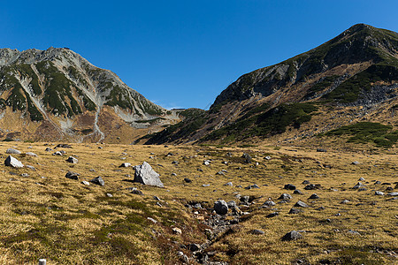 泰山山山高地 爬坡道 富山 假期 走 树 路线图片