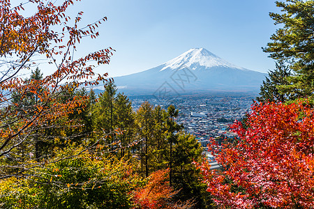 秋季的藤田山和马瓜图片