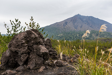 日本与樱岛火山图片