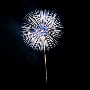 烟花 烟火 天 黑暗的 火花 七月 黑色的 白色的 庆典 夏天图片