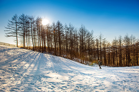 日落时冬林的风景 雪岳山 场景 山 美丽的 季节 韩国图片