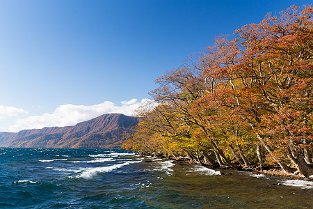 秋季的十和田湖图片