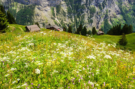 迷人的穆伦山村的美丽景观 背景是劳特布龙嫩山谷和瑞士阿尔卑斯山 少女峰地区 伯尔尼高地 瑞士 欧洲 自然 高山图片