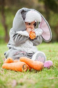 穿着兔子服装的小女孩女婴 孩子们 戏服 胡萝卜 毛茸茸的图片