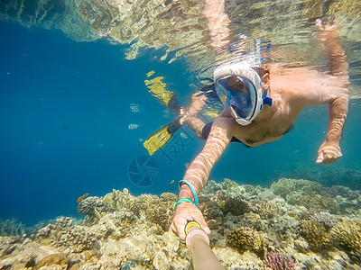 珊瑚鱼在浅水中下潜 蓝色的 海洋 潜水员 海底 自拍图片