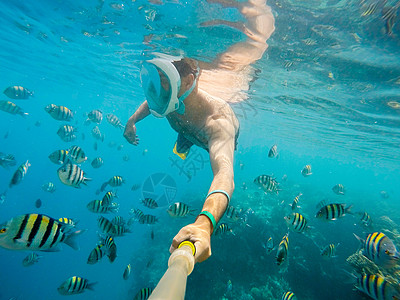 珊瑚鱼在浅水中下潜 闲暇 游泳 男人 埃及 花园图片