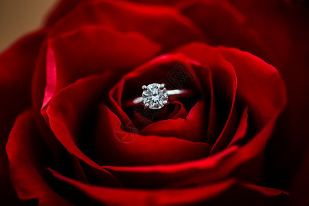 紧贴着一个结婚戒指 塞进一朵玫瑰里图片