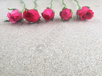 胶合板背景上的玫瑰 浪漫的 花园 庆典 笔记 美丽的图片