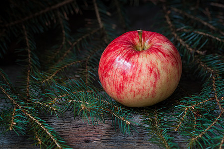 红苹果和黄苹果 在树的枝上 松果 假期 植物 馅饼图片