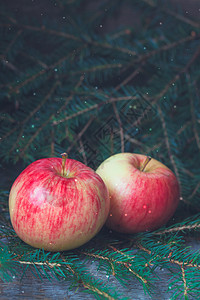 红苹果和黄苹果 在树的枝上 蛋糕 甜点 甜的 馅饼图片