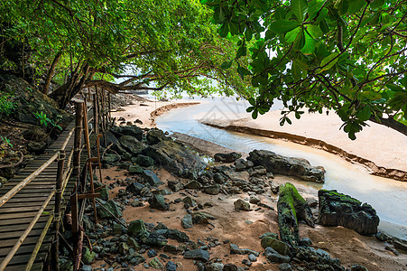 在泰国丛林里夫河口附近 的泰山丛林中徒步木足迹图片