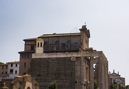 圣殿皇帝安东尼乌斯和妻子福斯蒂娜 在意大利罗马罗马罗马论坛用科林提亚列 古典 旅游图片