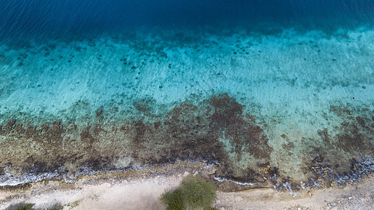 博内尔岛加勒比海 Bonaire 绿色的 夏天图片