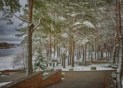 公园的冬季风景图片