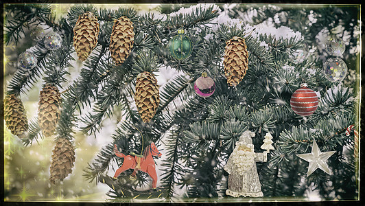 圣诞树的装饰 礼物 白色的 树枝上的雪 红色的 时尚 金的图片
