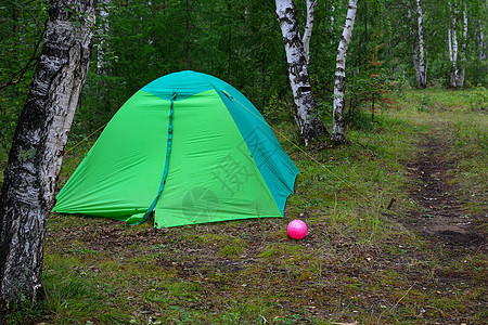 森林中的绿色帐篷图片