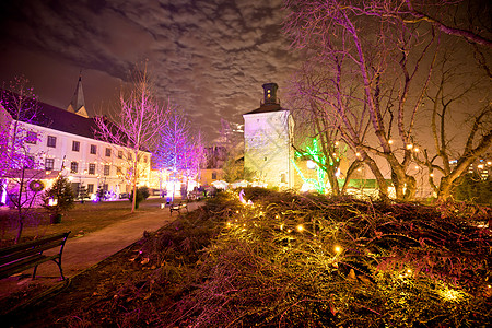 公园夜景萨格勒布上城圣诞市场夜景 场景 大教堂 树背景