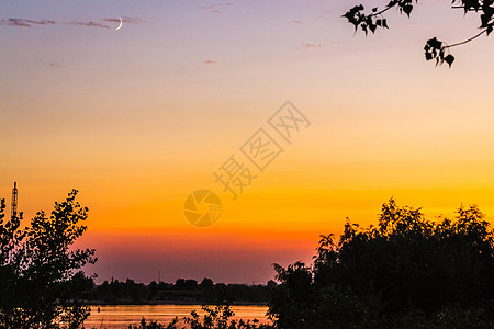 夏日夕阳树自然河流 太阳 水 月亮 岛 旅游 鱼图片