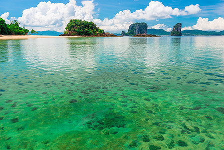 泰国美丽热带地区的海水绿荫图片