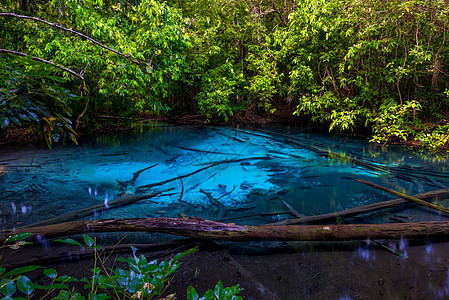 美丽的景观 - 蟹堡丛林中蓝湖的景色图片