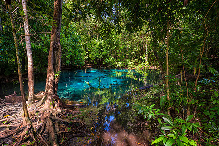 深厚的泰国丛林中的蓝湖风景图片