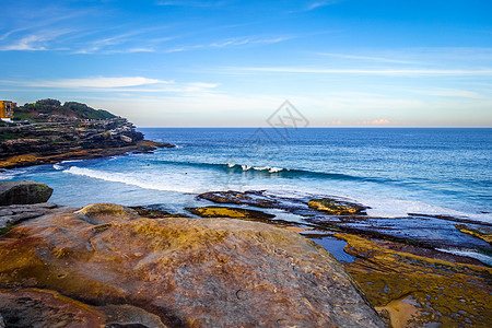 澳大利亚西德尼Tamaramama海滩 晴天图片