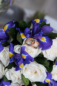美丽的结婚花束和戒指 已婚 天 手 玫瑰 浪漫的图片