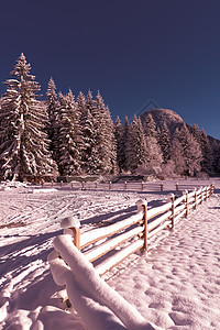 冬季风景 户外 冷杉 日出 雪堆 松树 天 木头 季节图片