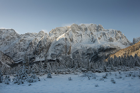 冬季风景 森林 圣诞节 晴天 山 空气 娱乐图片