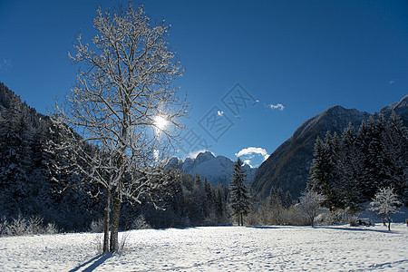 冬季风景 场景 小屋 晴天 舱 滑雪 冬天 阿尔卑斯山 假期图片