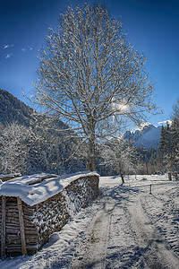 冬季风景 蓝色的 场景 村庄 滑雪 寒冷的 自然 顶峰图片