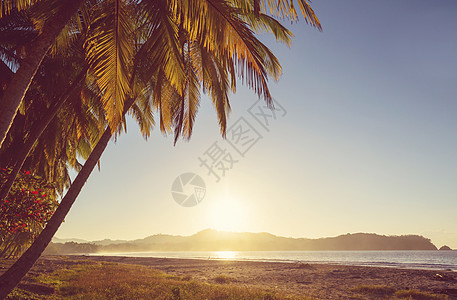 哥斯达黎加的海岸 公园 放松 宁静 南美洲 树图片