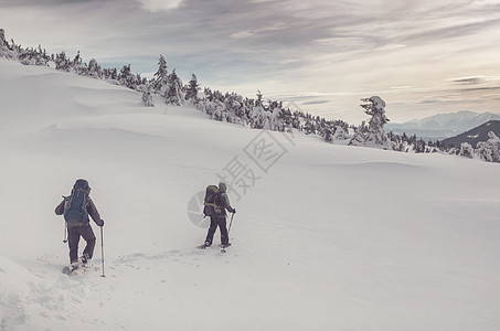 冬季远足 游客 旅游 暴风雪 山 娱乐 运动的 森林 雪鞋行走图片