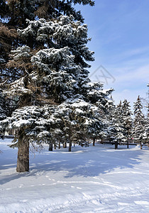 在城市公园前方有雪的痕迹 山丘下着雪痕图片