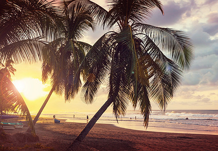 哥斯达黎加的海岸 热带 海岸线 晴天 假期 海滩图片