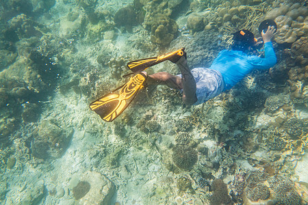 浮潜潜水员 野生动物 礁 泰国 安达曼海 安达曼 印度洋 岛图片