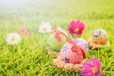 复活节快乐特写镜头五颜六色的复活节彩蛋在巢上绿色 gr 假期 自然图片