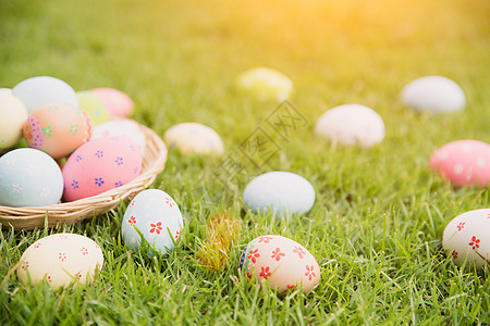 复活节快乐特写镜头五颜六色的复活节彩蛋在巢上绿色 gr 食物 春天图片