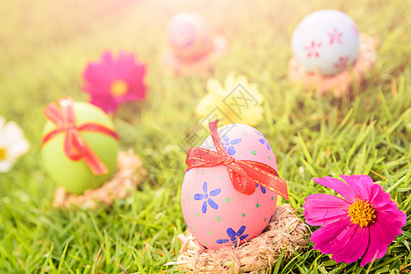 复活节快乐特写镜头五颜六色的复活节彩蛋在巢上绿色 gr 食物 草地图片