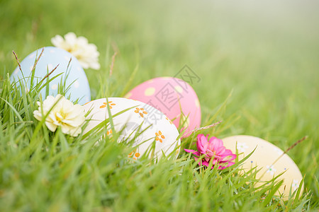 复活节快乐特写镜头五颜六色的复活节彩蛋在巢上绿色 gr 季节 打猎图片