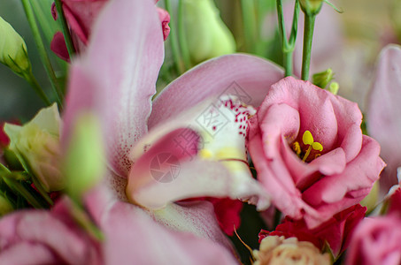 在美丽的背景上 带兰花和玫瑰的布束花 生日图片