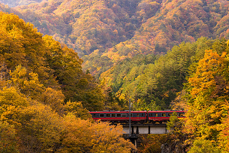红色火车通勤福岛日本 反射 森林 季节 假期 光洋图片